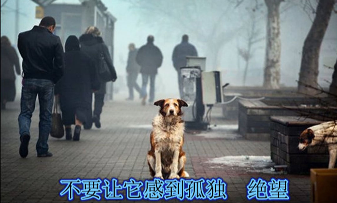 厦门厦门爱影圈微博微信转发案例